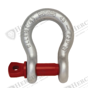 SHACKLE 1/2IN SCREW PIN ANCHOR SC