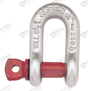SHACKLE 1-1/2IN SCREW PIN ANCHOR SC