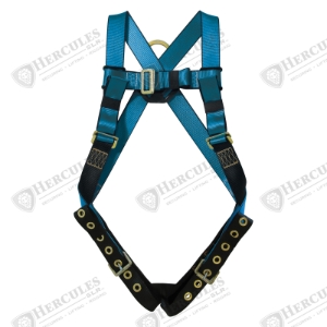 Harness Phoenix  Tongue and Buckle Legs
