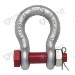 SHACKLE 1/2IN ALLOY BOLT TYPE ANCHOR