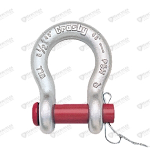 SHACKLE 3/4IN ROUND PIN ANCHOR GALV